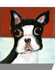 Gallery Grand - Dog Face - Boston Terrier
