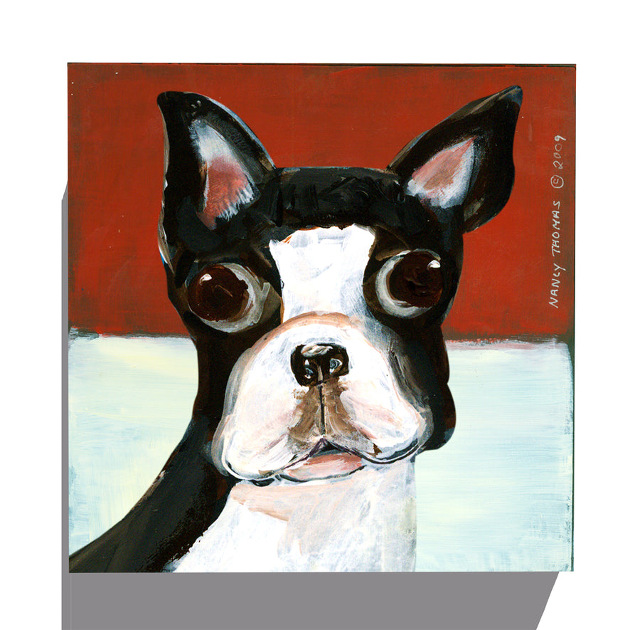 Gallery Grand - Dog Face - Boston Terrier