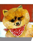 Gallery Grand - Dog Face - Pomeranian