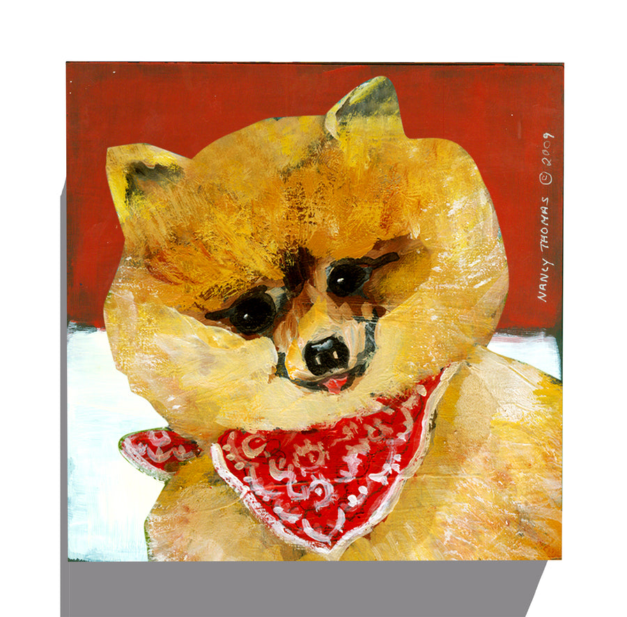 Gallery Grand - Dog Face - Pomeranian