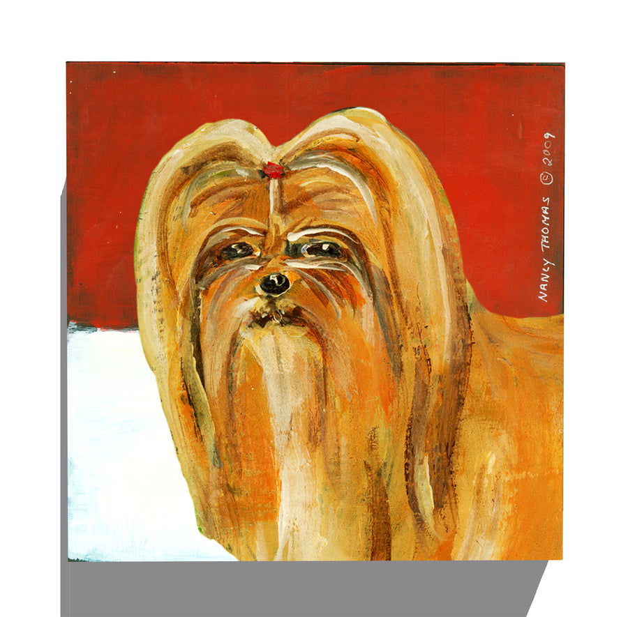 Gallery Grand - Dog Face - Shih Tzu