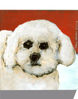 Gallery Grand - Dog Face - Bichon