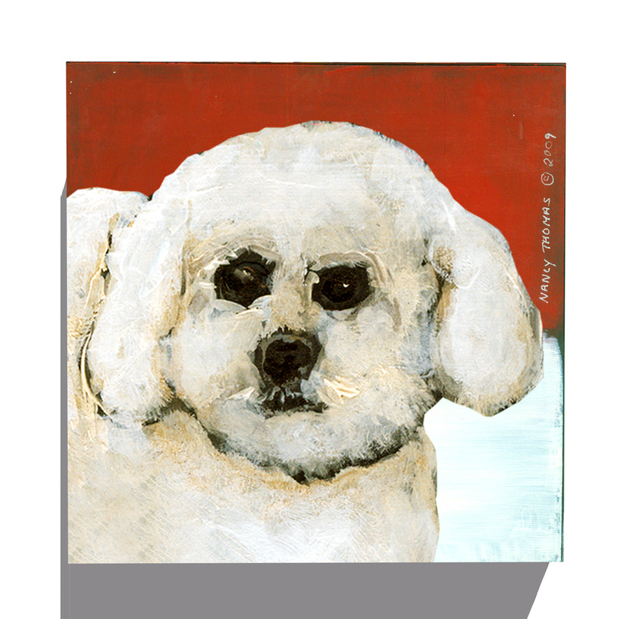 Gallery Grand - Dog Face - Bichon