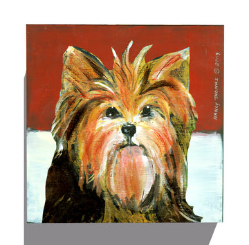 Gallery Grand - Dog Face - Yorkie