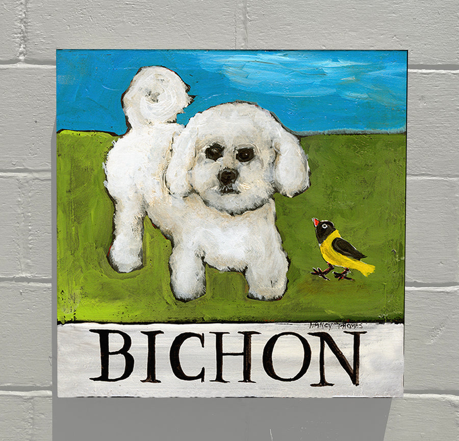 Gallery Grand - Doggie - Bichon