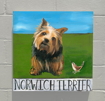 Gallery Grand - Doggie - Norwich Terrier