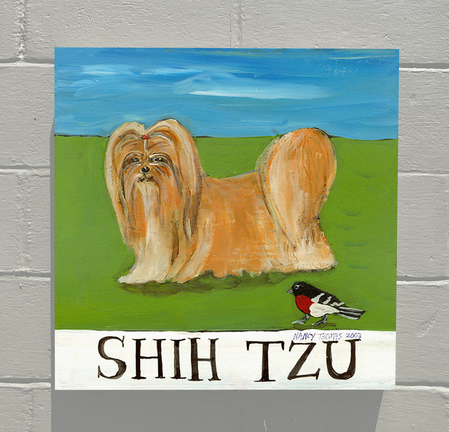 Gallery Grand - Doggie - Shih Tzu