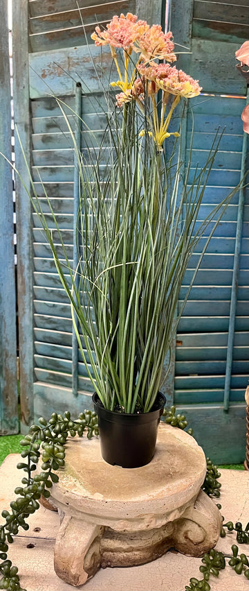 ARTIFICIAL YORKTOWN ONION GRASS WITH TWO FLOWERS (POTTED)