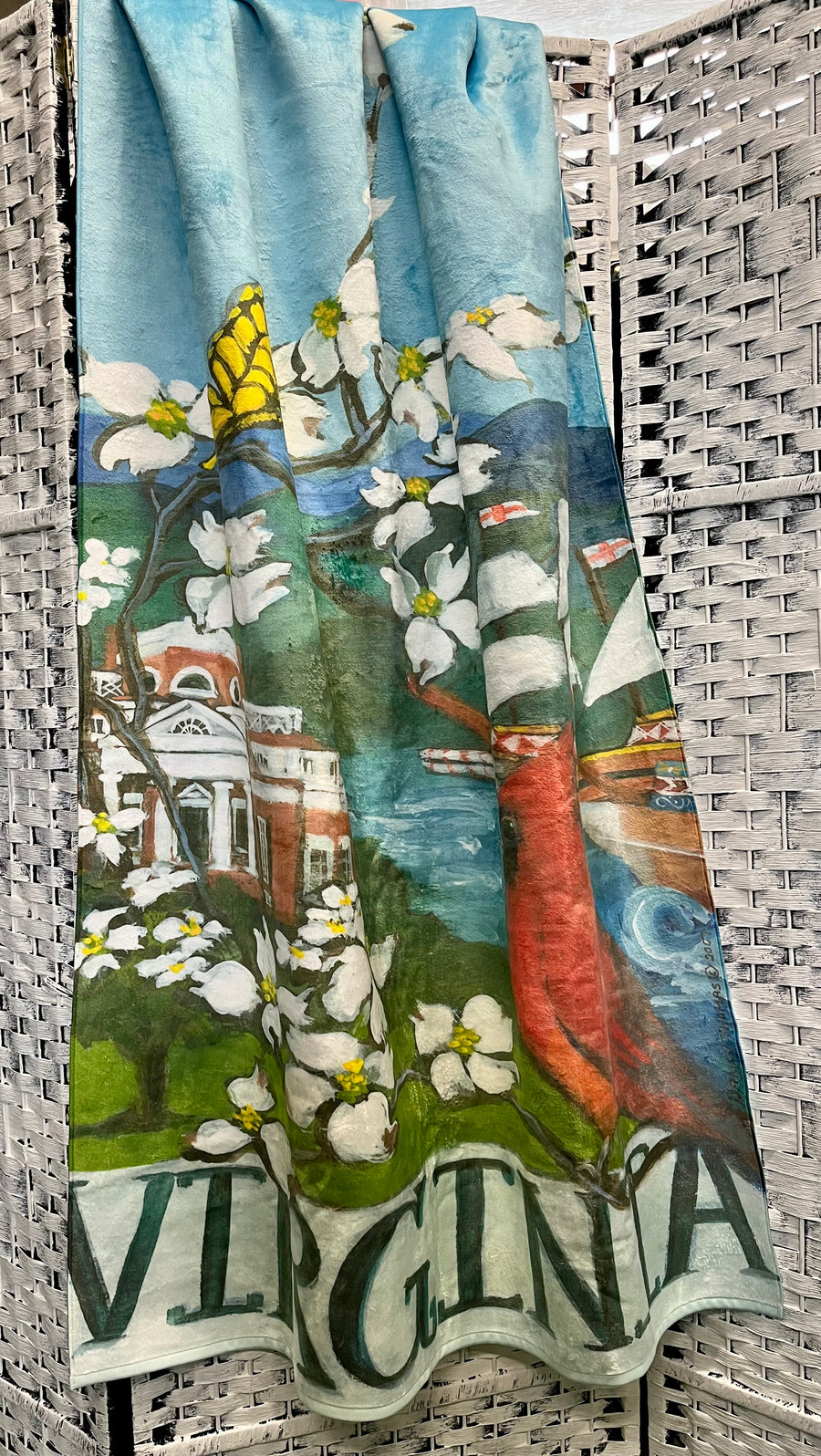 King Size Plush Beach Towels ~ Virginia