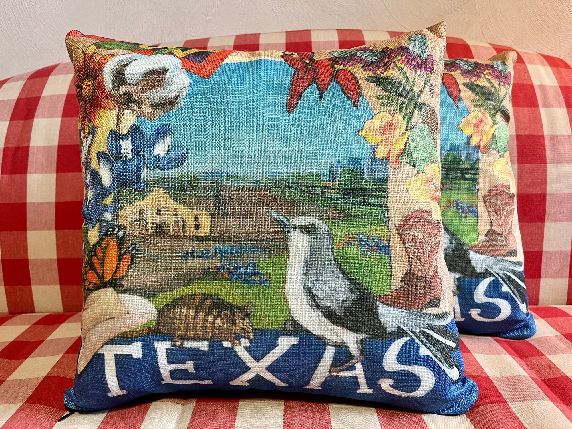 NANCY THOMAS PILLOWS - States - Texas
