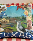 NANCY THOMAS PILLOWS - States - Texas