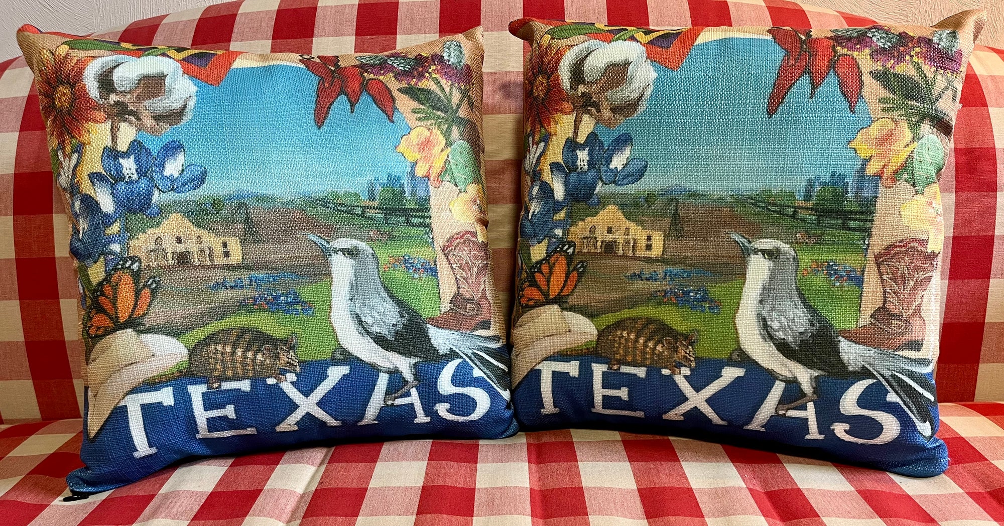 NANCY THOMAS PILLOWS - States - Texas