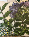 NANCY THOMAS PILLOWS - Herbs