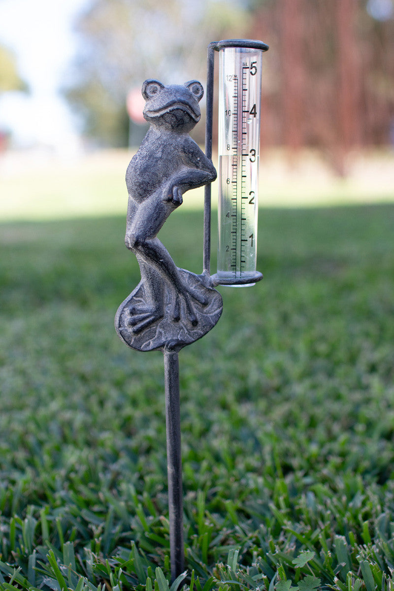 Rustic Iron Frog Rain Gauge