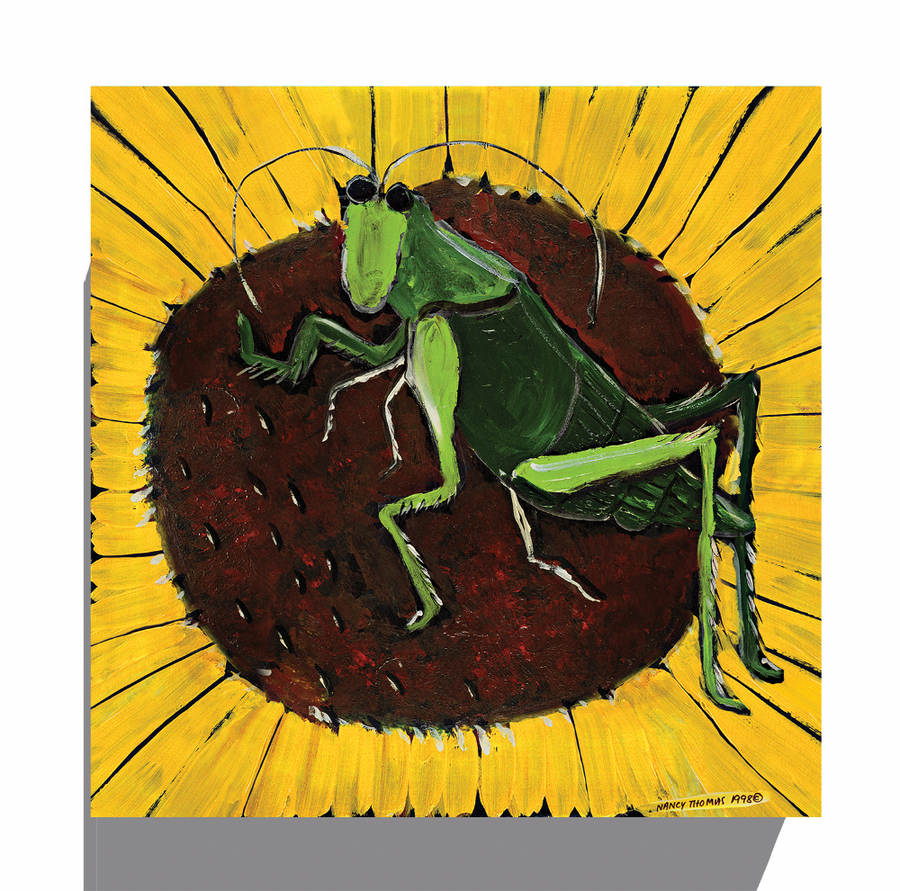 Gallery Grand - Grasshopper