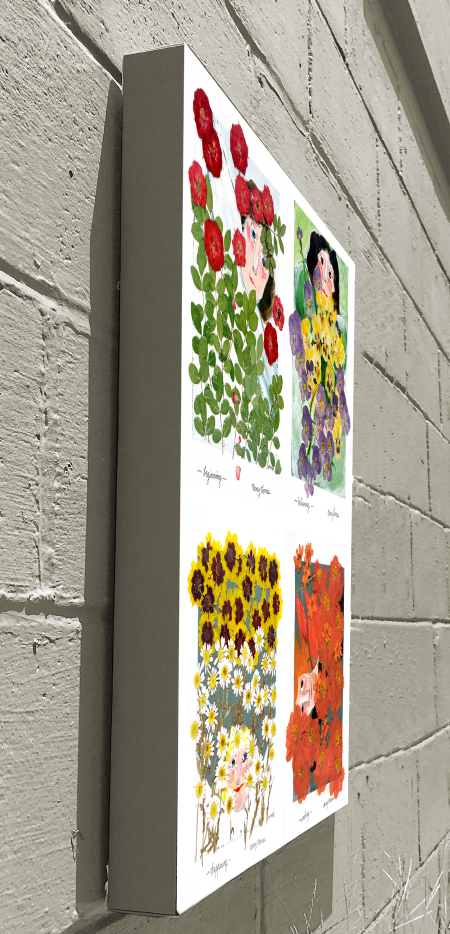 Available Now - PRESSED FLOWERS - ALL SEASONS