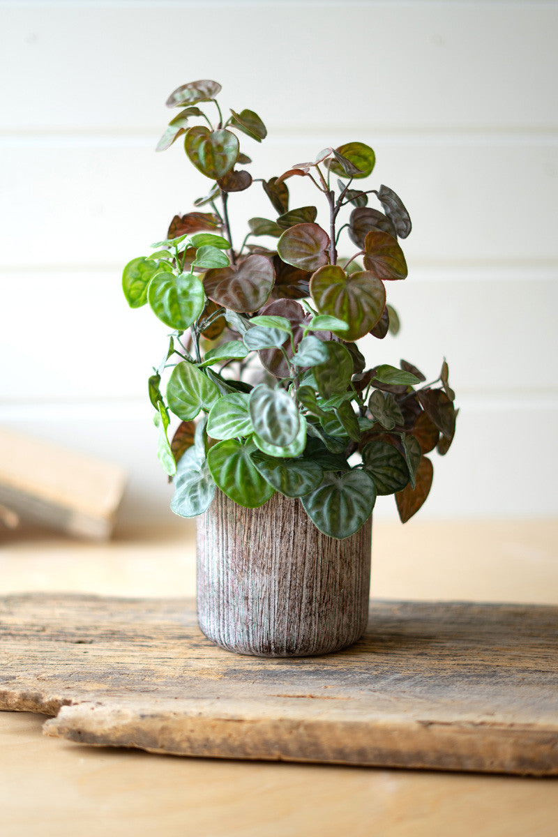 Artificial Begonia Plant with Cement Pot