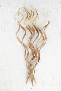 Gold Dipped Coco Spirals