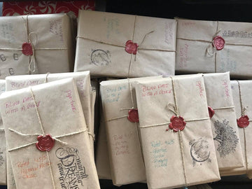GIFTS for THE PARTNERLESS - Blind Date With a Book