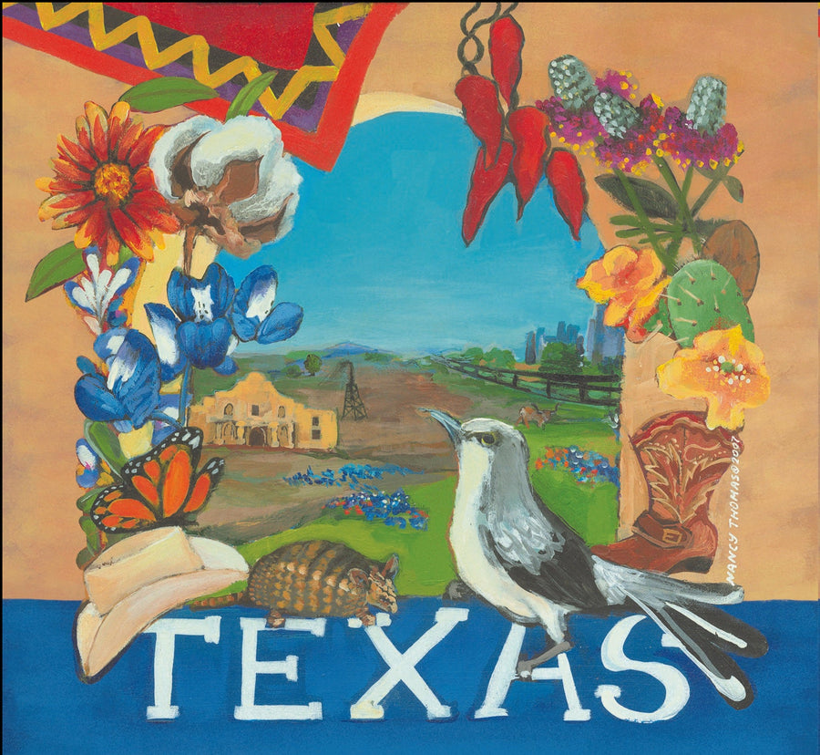 NANCY THOMAS PILLOWS - States - Texas