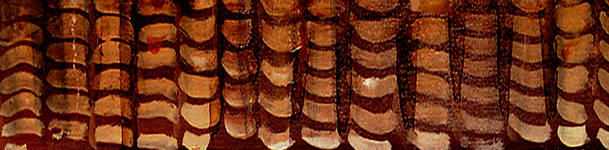 Marvelous Months - February - Nature Series